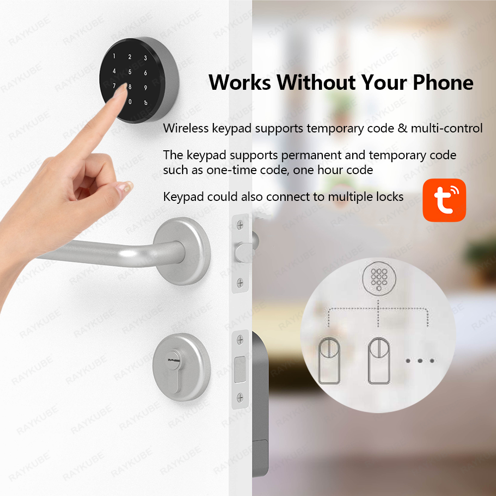RAYKUBE A1 Pro Tuya BEL Smart  - Woodworking App 评论和价格